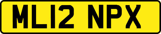 ML12NPX
