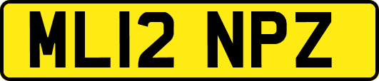 ML12NPZ