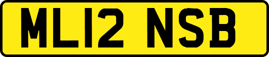 ML12NSB