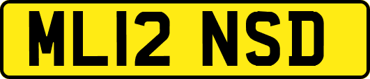 ML12NSD