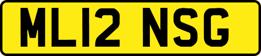 ML12NSG