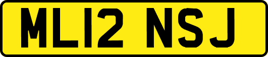ML12NSJ
