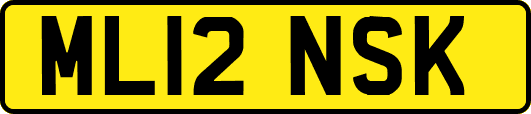 ML12NSK