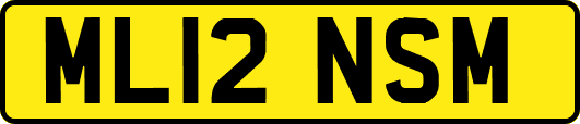 ML12NSM