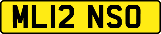 ML12NSO