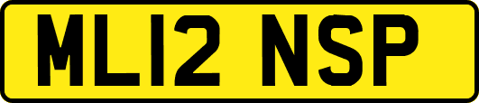 ML12NSP