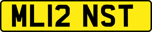 ML12NST