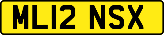 ML12NSX