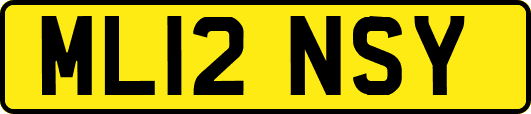 ML12NSY