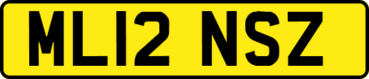 ML12NSZ