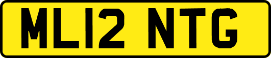 ML12NTG