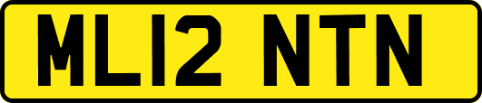 ML12NTN