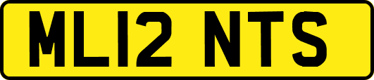 ML12NTS