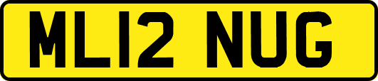 ML12NUG