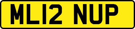 ML12NUP