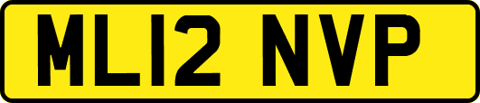 ML12NVP