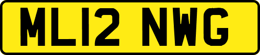 ML12NWG