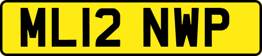 ML12NWP