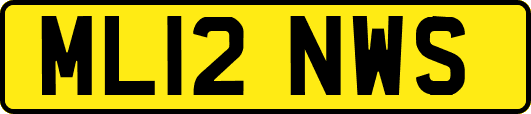 ML12NWS