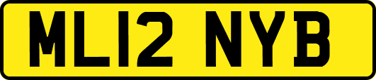 ML12NYB