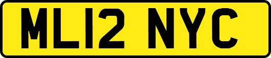 ML12NYC