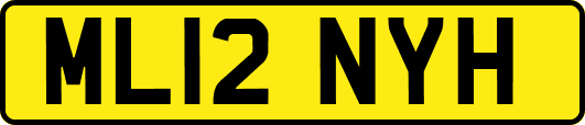 ML12NYH