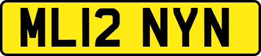 ML12NYN