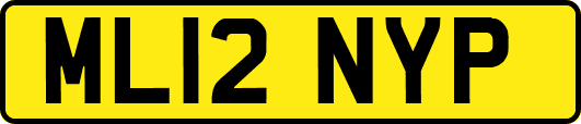 ML12NYP