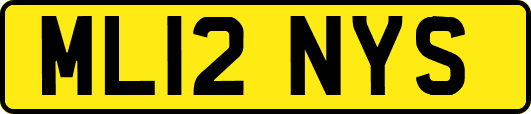 ML12NYS