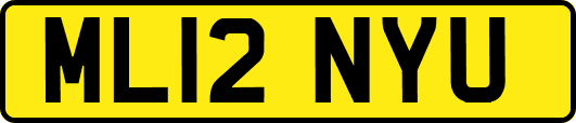 ML12NYU