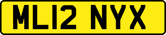 ML12NYX