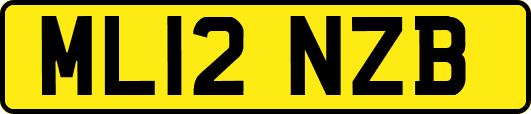 ML12NZB