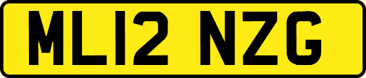 ML12NZG