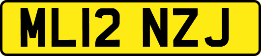 ML12NZJ