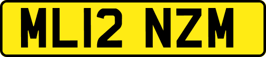 ML12NZM