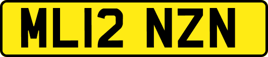 ML12NZN