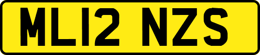 ML12NZS