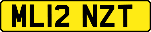 ML12NZT
