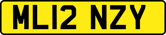 ML12NZY