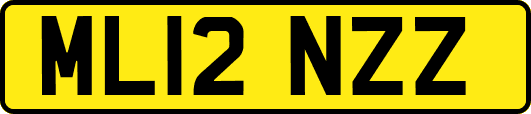 ML12NZZ