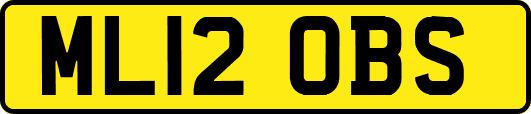 ML12OBS