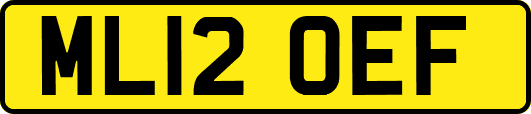 ML12OEF