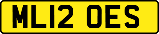 ML12OES