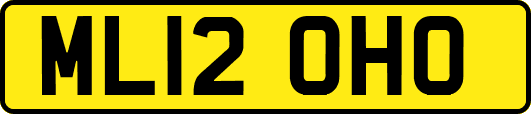 ML12OHO
