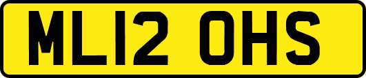 ML12OHS