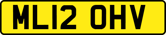 ML12OHV