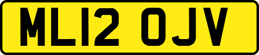 ML12OJV