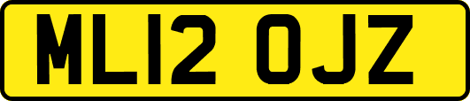 ML12OJZ