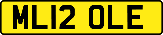 ML12OLE