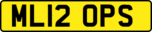 ML12OPS